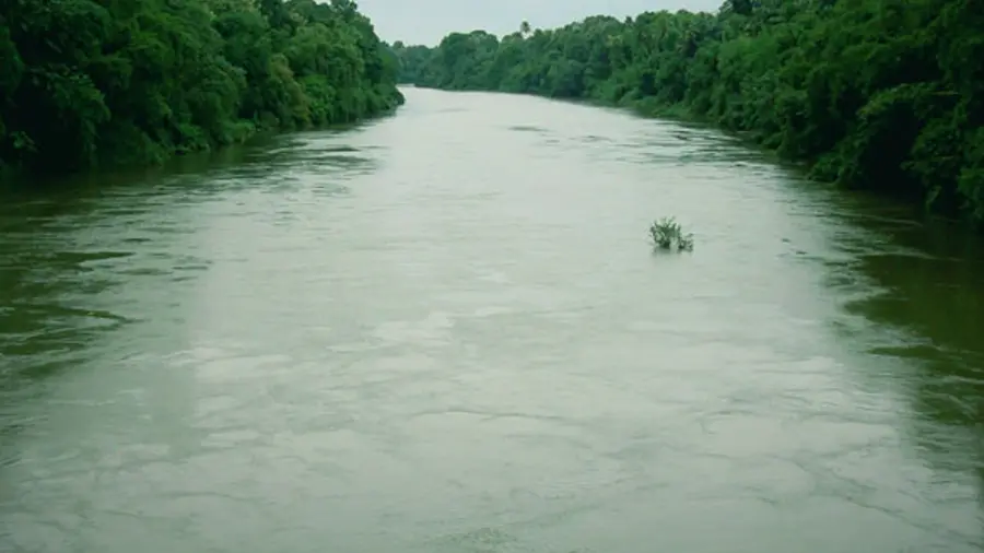 manimala river
