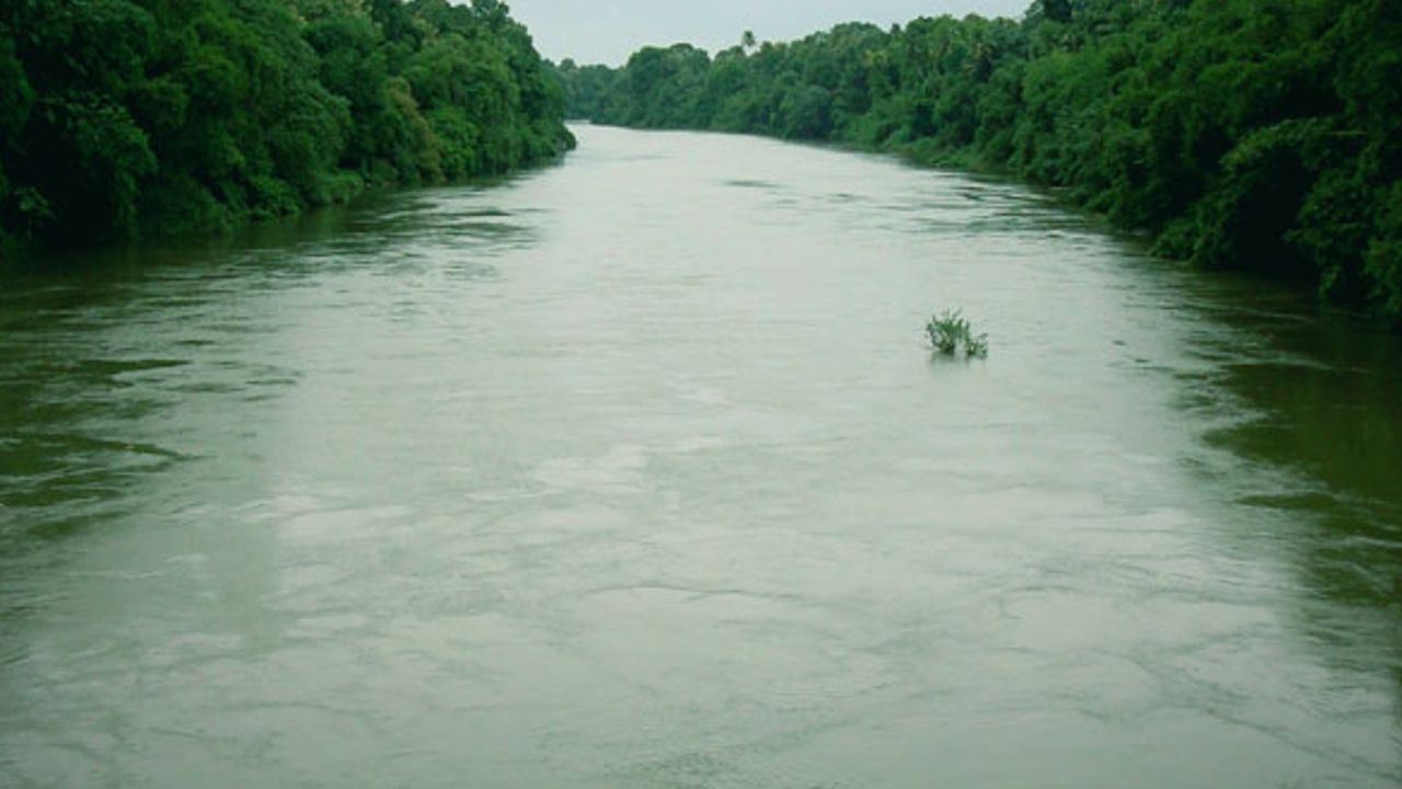 manimala river