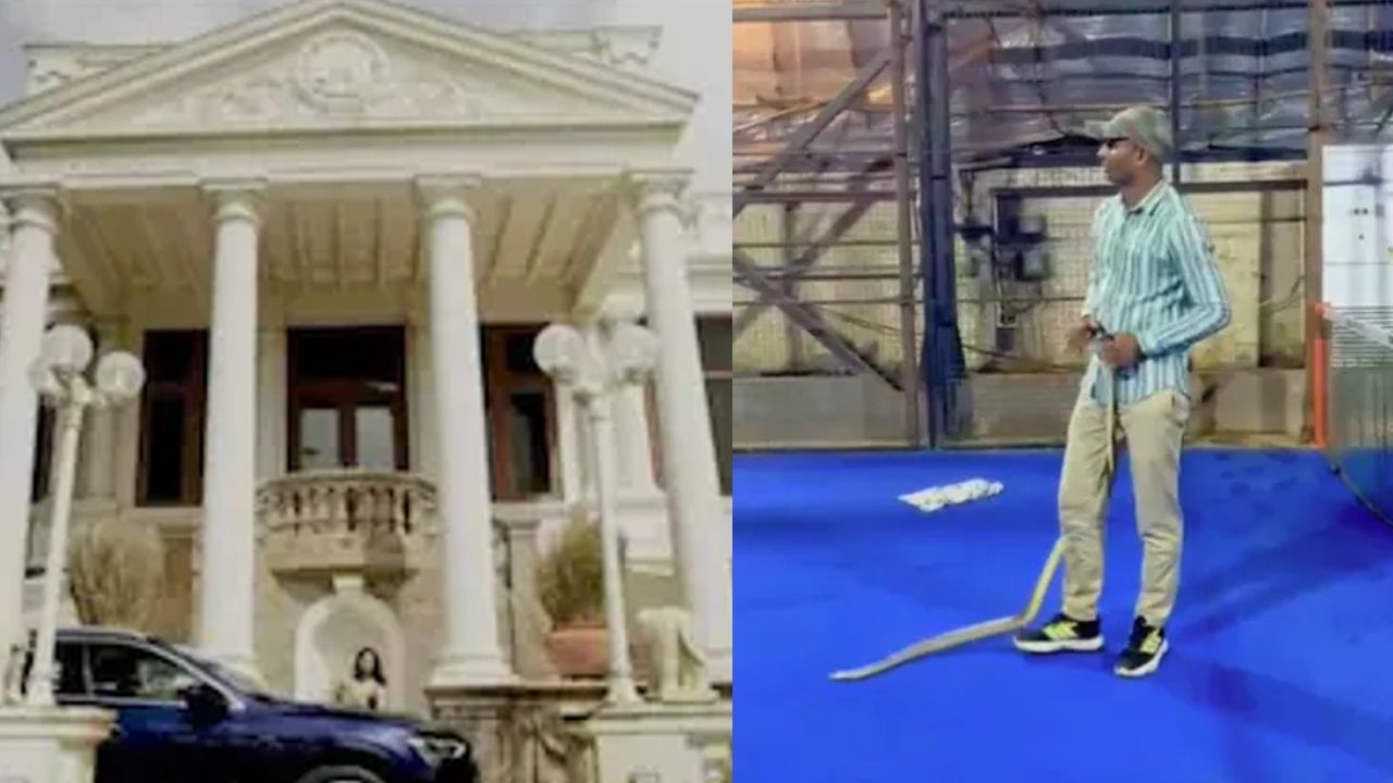 mannat snake