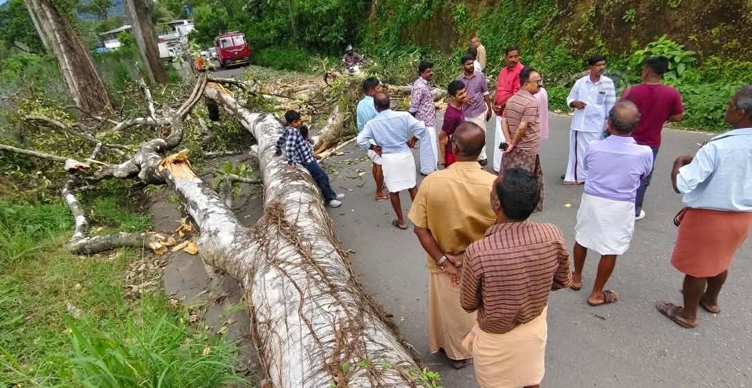 കൊല്ലം– -തിരുമംഗലം ദേശീയപാതയിലെ തെന്മല പത്തേക്കറിൽ റോഡിലേക്ക്   മരം വീണപ്പോൾ