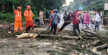 കൊല്ലം– തിരുമംഗലം ദേശീയപാതയിൽ എഴുകോൺ കോളന്നൂർ ഭാഗത്ത് മരം  വീണത് അഗ്നിരക്ഷാസേനയും നാട്ടുകാരും ചേർന്ന് മുറിച്ചുമാറ്റുന്നു 