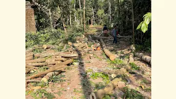 ബൈപാസ് റോഡ് നിർമാണത്തിന്‌ മുന്നോടിയായ പ്രവൃത്തികൾ ആരംഭിച്ചപ്പോൾ  