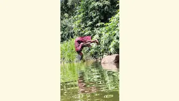 തലകുത്തി മറിയുന്ന മാത്തി