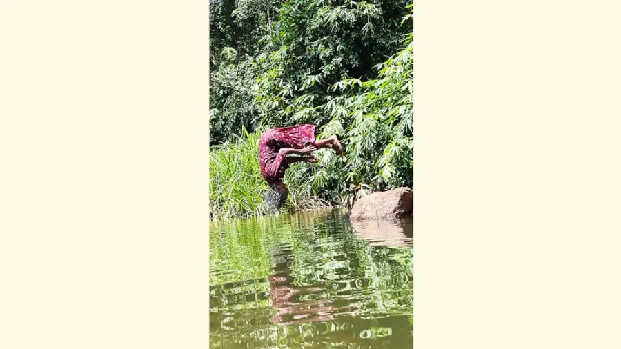 തലകുത്തി മറിയുന്ന മാത്തി
