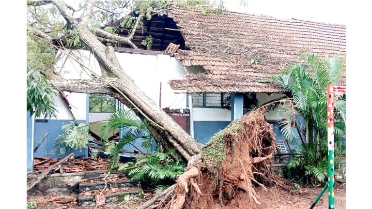 Heavy rain; Trees uprooted