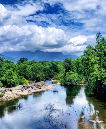 The rainforests of Karulai Nedumkayam are rich in rainforests.