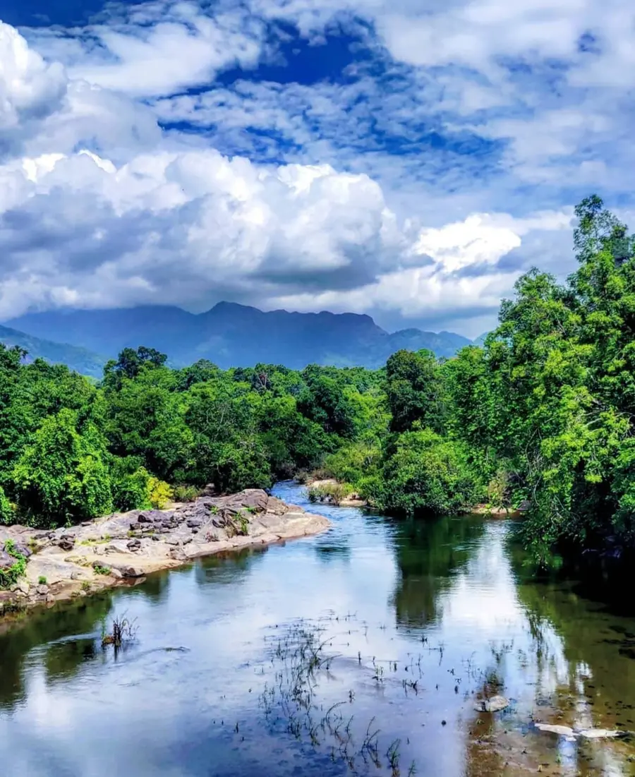 The rainforests of Karulai Nedumkayam are rich in rainforests.