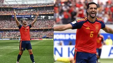 merino