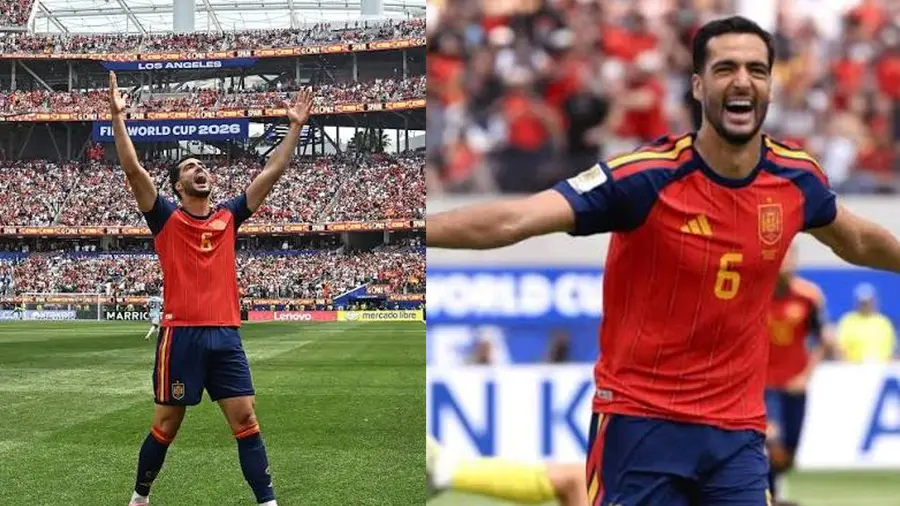 merino