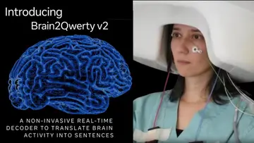 meta brain