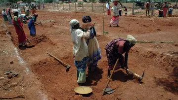 mgnrega TN