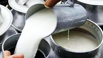 milk