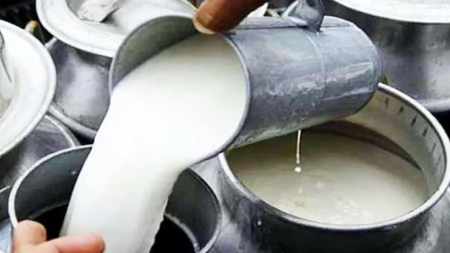 milk