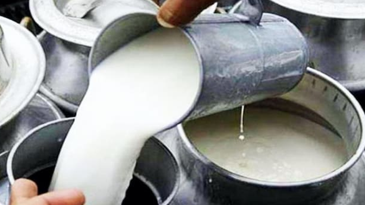 milk