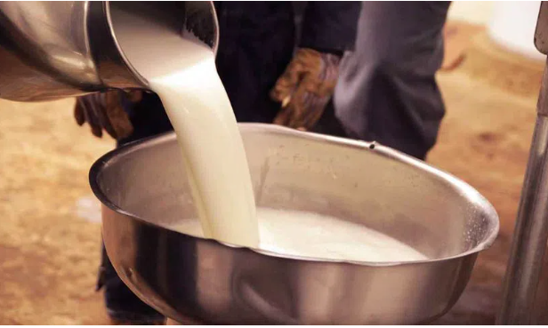 milk