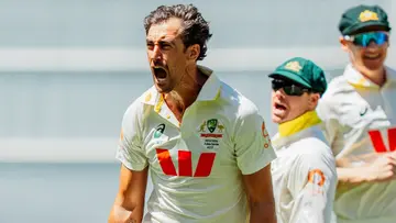 mitchell starc.jpg