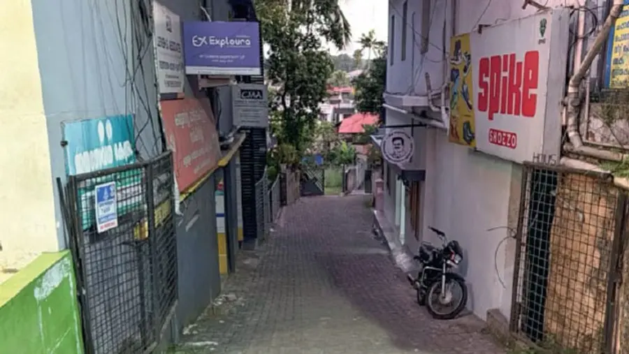 mla-office