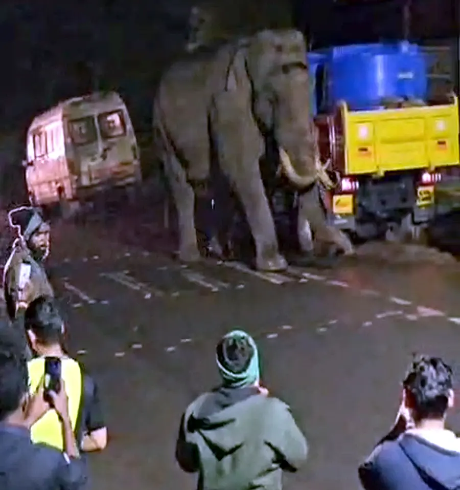 Padayappa arrived in the populated area