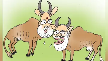 modi amit sha bjp
