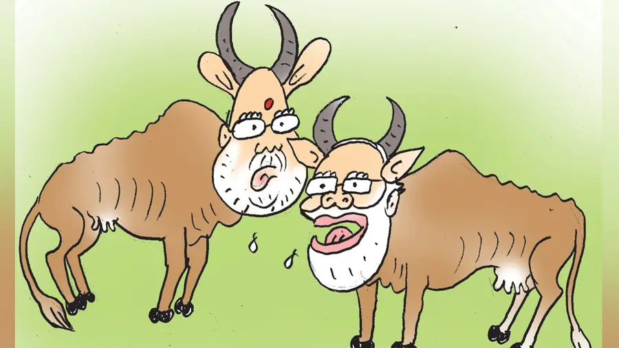 modi amit sha bjp