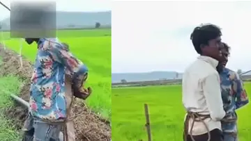 mp