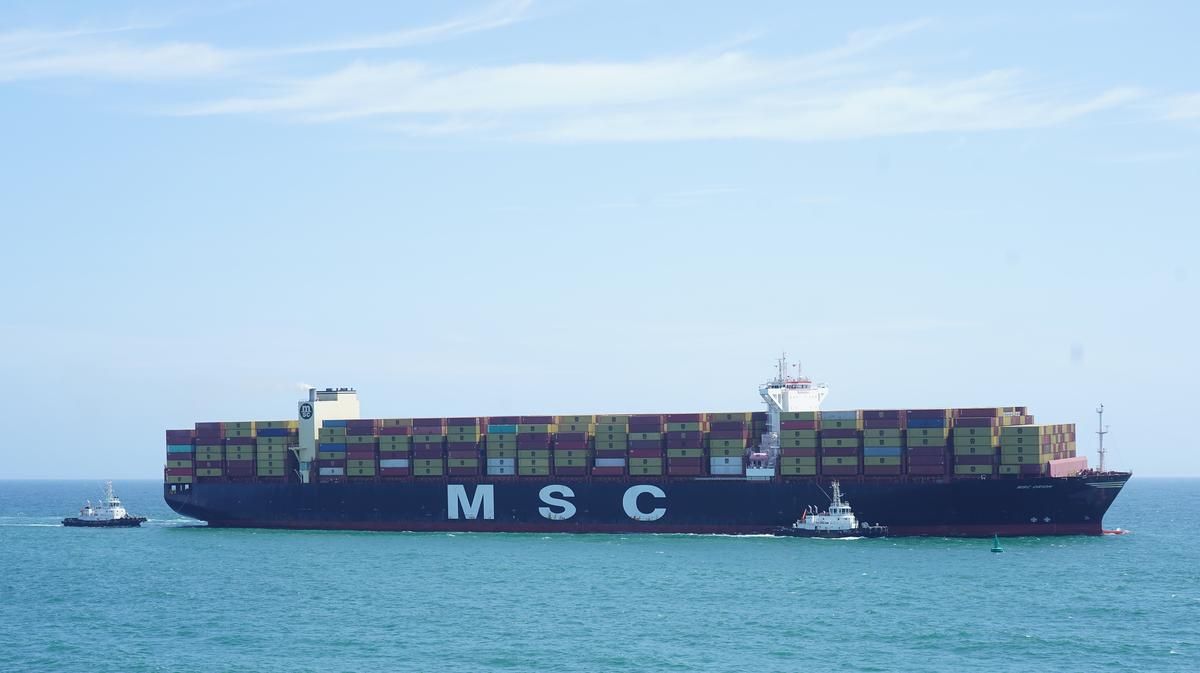 msc