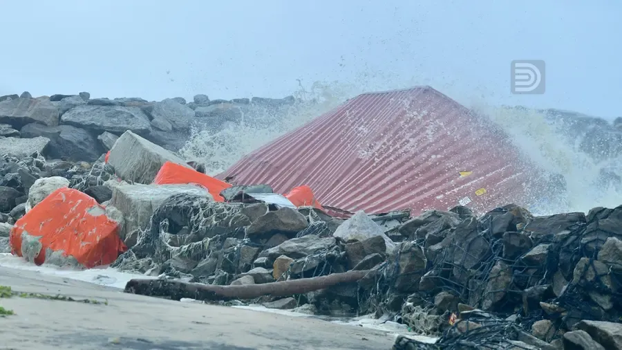 msc elsa 3 container