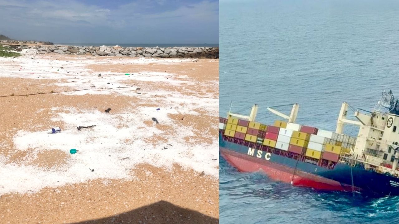 msc elsa accident