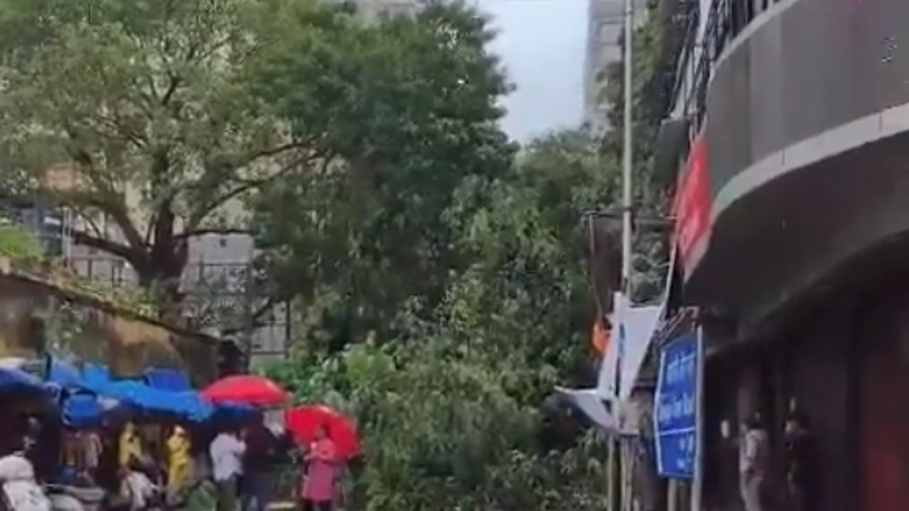 mumbai tree collapse