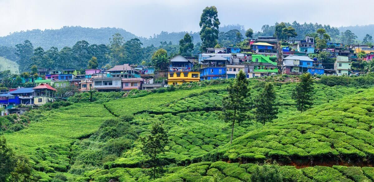 munnar