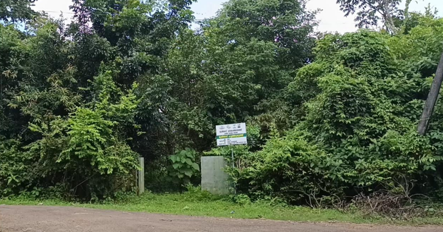 മുരിയാട്‌ പഞ്ചായത്ത്‌ ഒരുക്കിയ പച്ചത്തുരുത്ത്‌