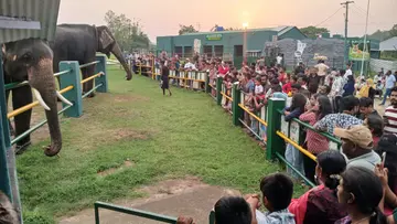  മുതുമല