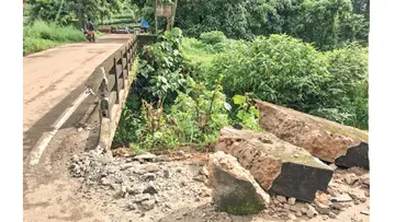 mvip bridge
