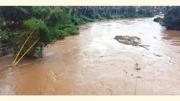 വാമനപുരം നദി