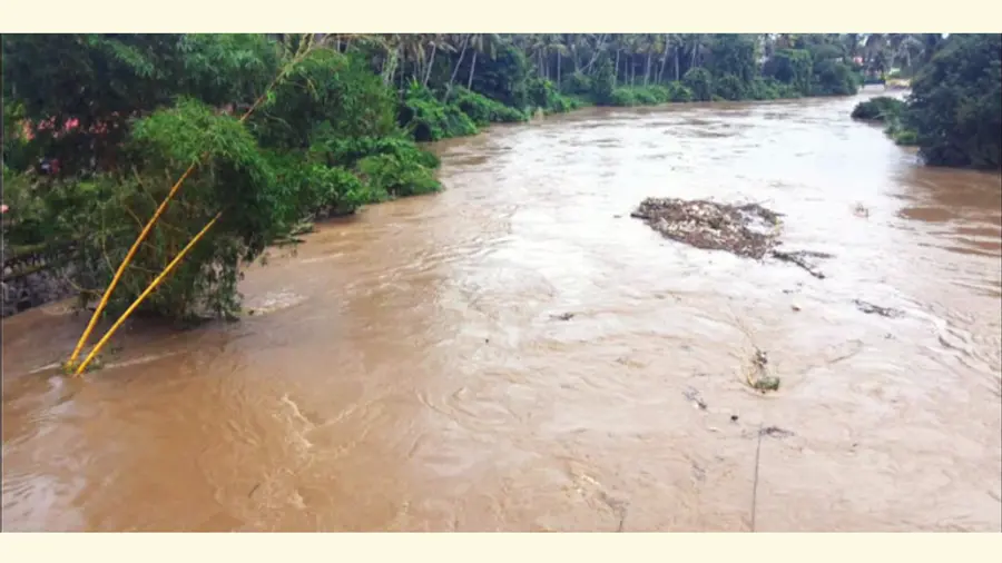 വാമനപുരം നദി
