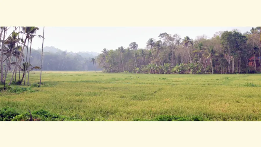 Chembur's fields to be greened