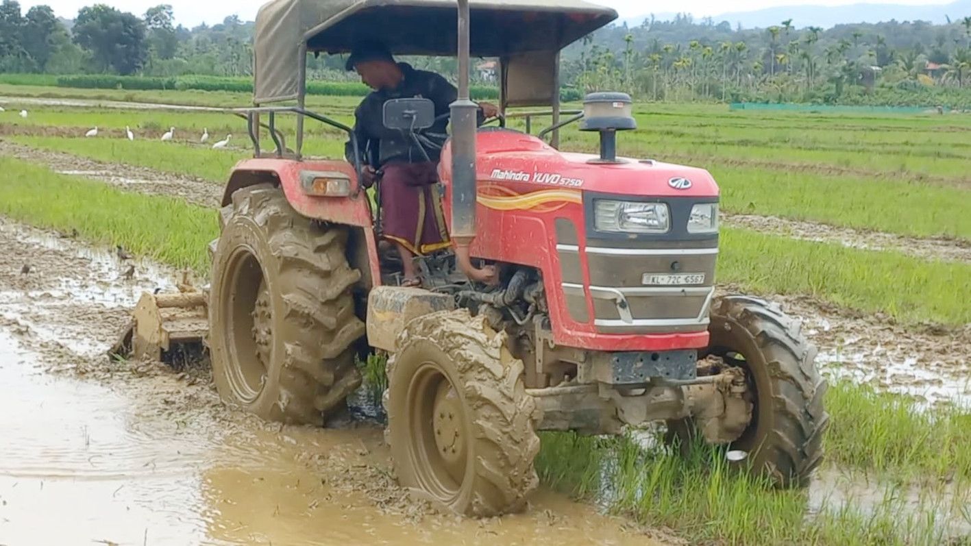 നഞ്ചകൃഷിക്കാലം 