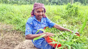 Farmers