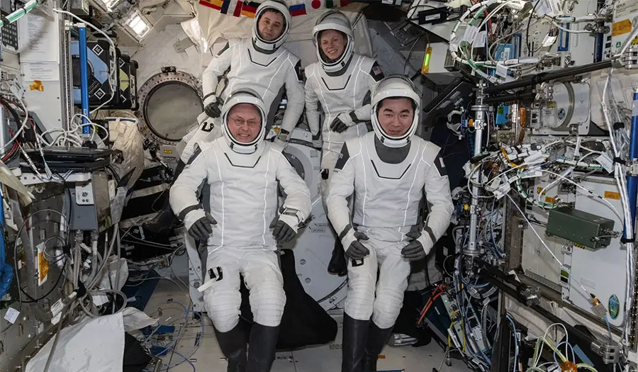 nasa crew 11 mission