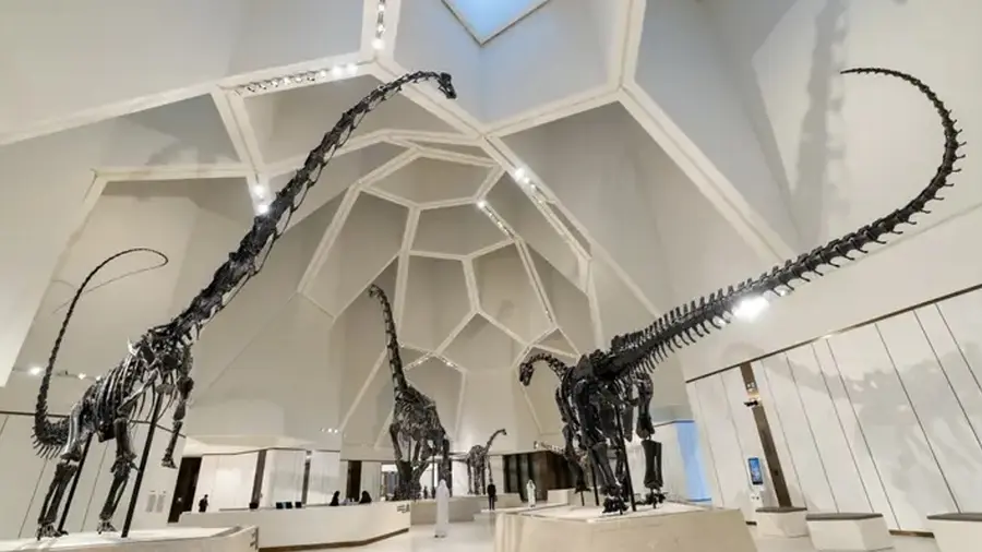 natural history museum