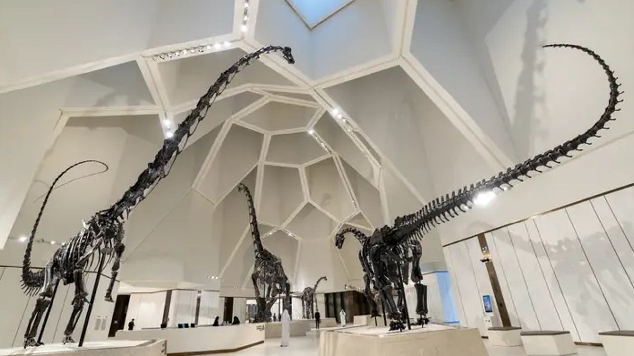 natural history museum