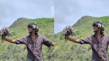 neelakurinji.png