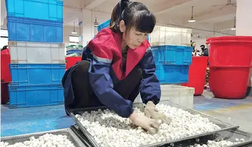 china 15th five year plan