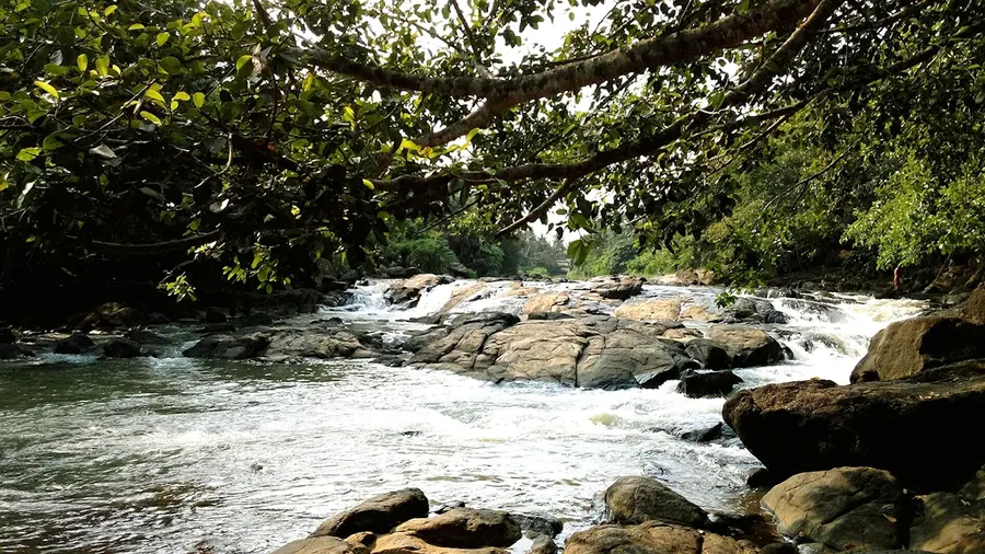 neyyar