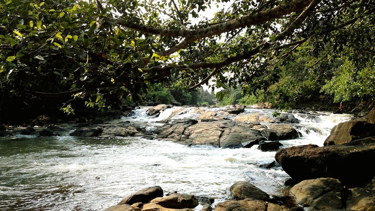neyyar