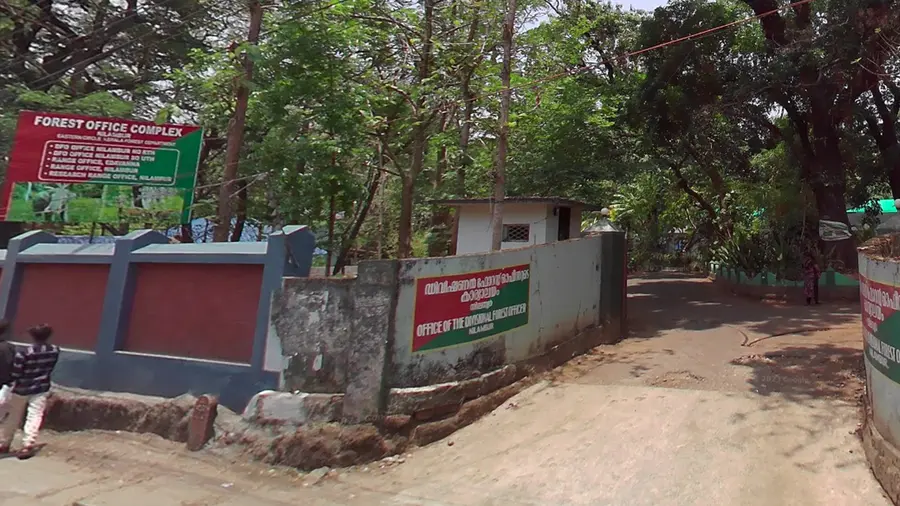 nilaboor forest office