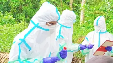 nipah defense