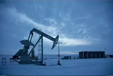 oil