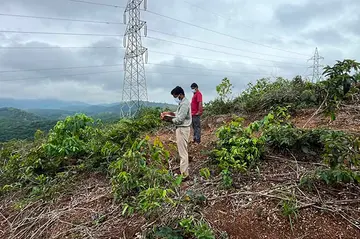 ഏരൂർ ഓയിൽ പാം എസ്റ്റേറ്റിൽ ജിയോളജി വകുപ്പ് അധികൃതർ  പരിശോധന നടത്തുന്നു 