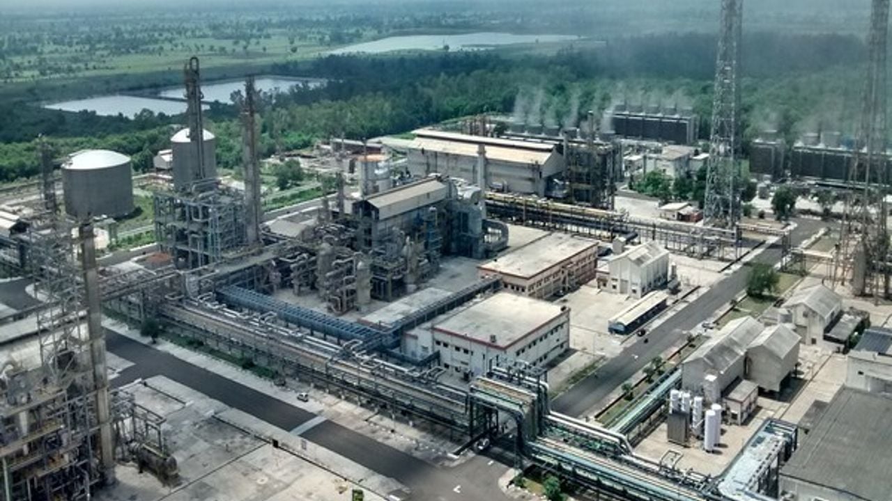 oil plant